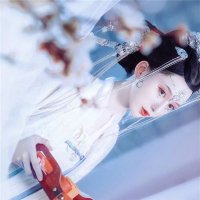 易方达远见成长混合A净值上涨4.54%