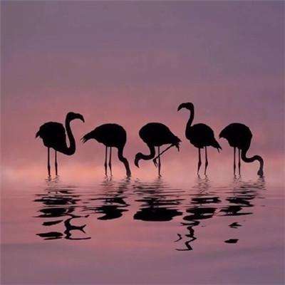 贝莱德CEO描绘中东冲突两种极端结局：油价要么跌至40美元，要么升破150美元